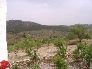 View from Terrace